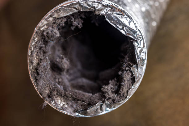 Best Commercial HVAC Duct Cleaning  in Blair, WI